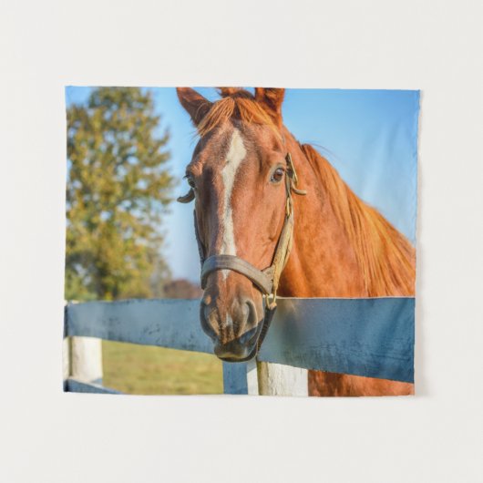 Twilight-Roos | Thoroughbred Race Horse Wandkleed (Voorkant (horizontaal))