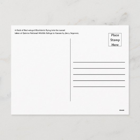 Twilight Soar van merels in het Quivira Briefkaart (Achterkant)