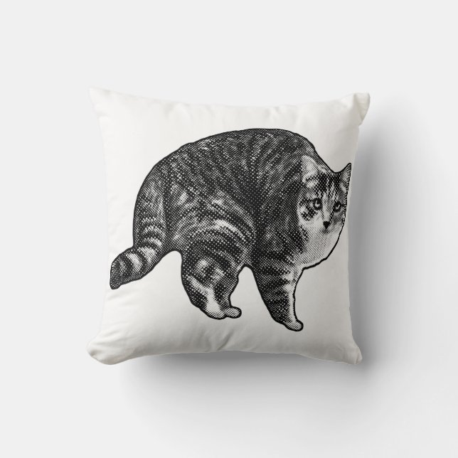Twilight Tabby Watch Kussen (Voorkant)