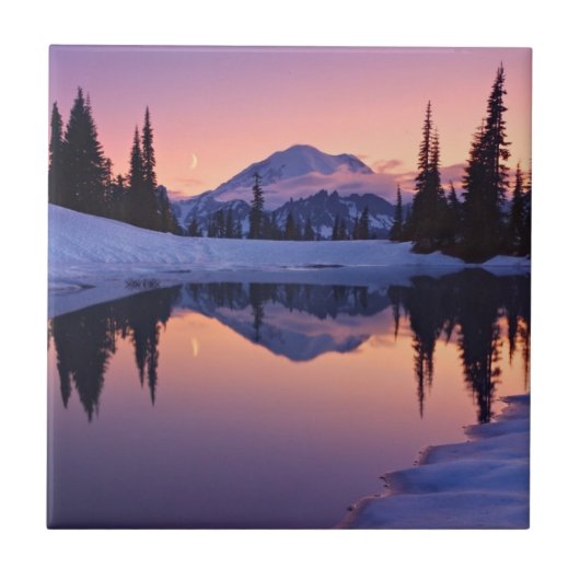 Twilight, Tarn en Crescent Moon Tegeltje (Voorkant)
