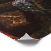 Twilight Treasures: rotsachtig strand Poster (Hoek)