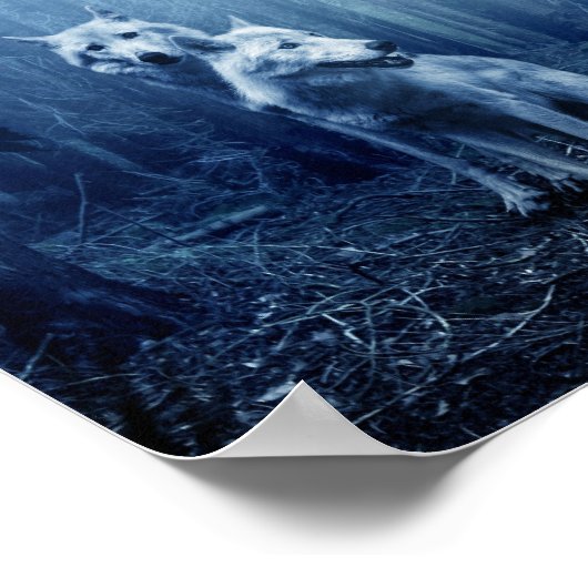 Twilight Wolven Poster (Hoek)