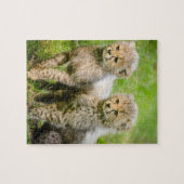 Twin Baby Cheetahs Legpuzzel (Horizontaal)