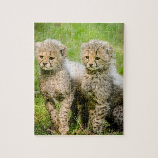 Twin Baby Cheetahs Legpuzzel (Verticaal)