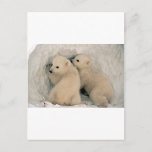 TWIN BABY IJSBEREN BRIEFKAART
