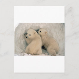TWIN BABY IJSBEREN BRIEFKAART
