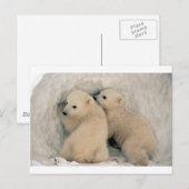 TWIN BABY IJSBEREN BRIEFKAART (Voorkant / Achterkant)