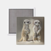 Twin baby Meerkats Magneet (Voorkant / Achterkant)