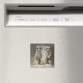 Twin baby Meerkats Magneet (Insitu (Vaatwasser))