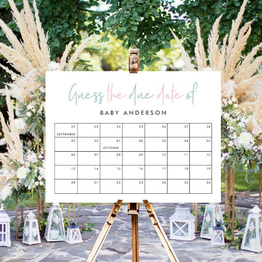 Twin baby shower roze blauwe, moderne typografie poster