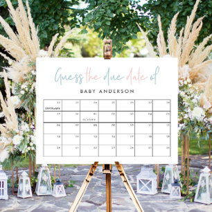 Twin baby shower roze blauwe, moderne typografie poster