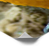 Twin Beaks Poster (Hoek)