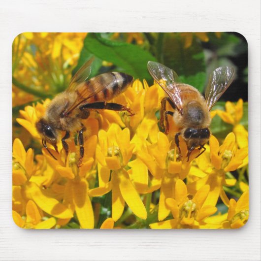 Twin Bees ~ mousepad Muismat (Voorkant)