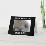 TWIN, BEST FRIEND AND SISTER ON YOUR BIRTHDAY LOVE KAART<br><div class="desc">DO YOU LOVE YOU TWIN SIS... .LET HER KNOW WITH THIS VERY CUTE SAMOYED TELLING HER THAT SHE IS YOUR BEST FRIEND AND THAT YOU WISH HER A VERY HAPPY BIRTHDAY!</div>