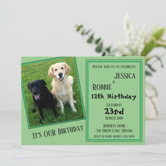 Twin Birthday Labrador Dog Kaart (Staand voorkant)
