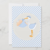 Twin Boys Country Charm Baby shower Kaart (Achterkant)