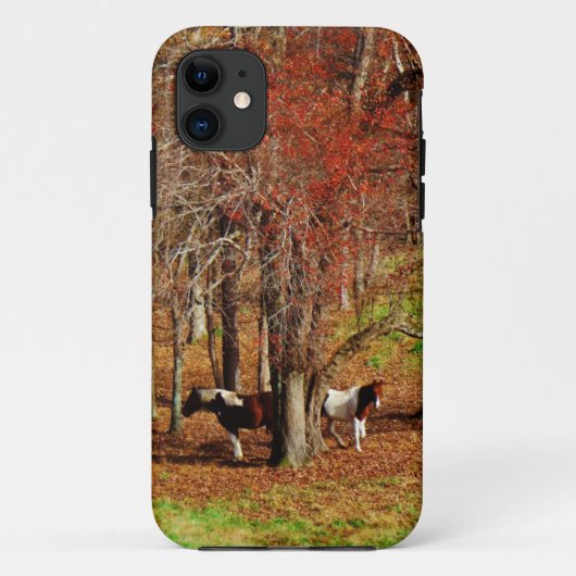 Twin Brown and White Horses Case-Mate iPhone Case (Achterkant)