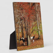 Twin Brown and White Horses Fotoplaat (Zijkant)