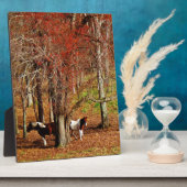 Twin Brown and White Horses Fotoplaat (Zijkant)