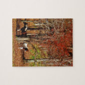 Twin Brown and White Horses Legpuzzel (Horizontaal)