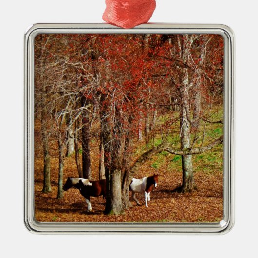 Twin Brown and White Horses Metalen Ornament (Voorkant)
