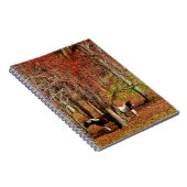 Twin Brown and White Horses Notitieboek (Rechterzijde)