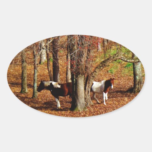 Twin Brown and White Horses Ovale Sticker (Voorkant)