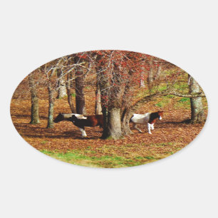 Twin Brown and White Horses Ovale Sticker