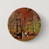 Twin Brown and White Horses Ronde Button 5,7 Cm (Voorkant)