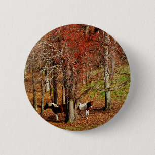 Twin Brown and White Horses Ronde Button 5,7 Cm