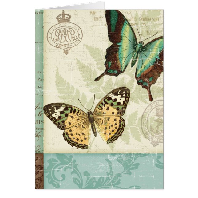 Twin Butterflies (Voorkant)