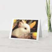 TWIN-DEZE BUNNY ZEGT EENVOUDIGER TE ZIJN FEESTDAGEN KAART (Voorkant)