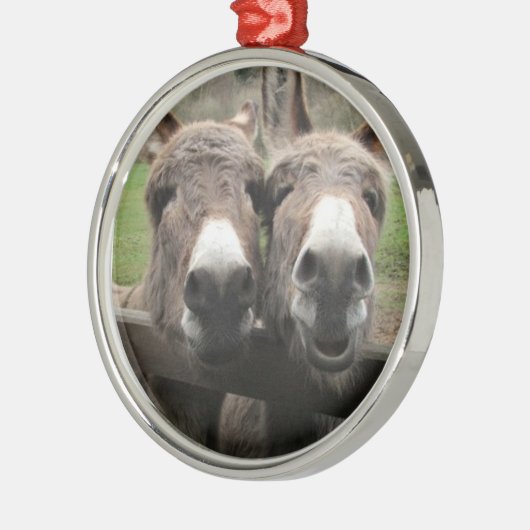 TWIN DONKEY PAIR ORNAMENT (Links)