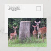 Twin Fawns Briefkaart (Voorkant / Achterkant)