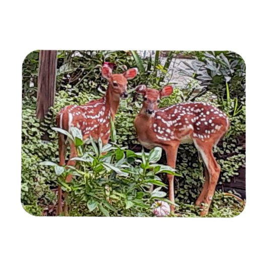 Twin Fawns Magnet Magneet (Horizontaal)
