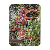 Twin Fawns Magnet Magneet (Verticaal)