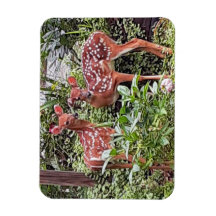 Twin Fawns Magnet