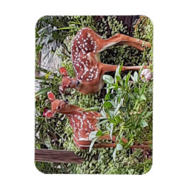 Twin Fawns Magnet Magneet