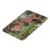 Twin Fawns Magnet Magneet (Linkerzijde)