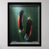 Twin Feathers Poster (Voorkant)