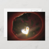 Twin Flame Heart Briefkaart (Voorkant / Achterkant)