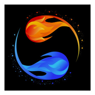 Twin Flame Perfect Poster