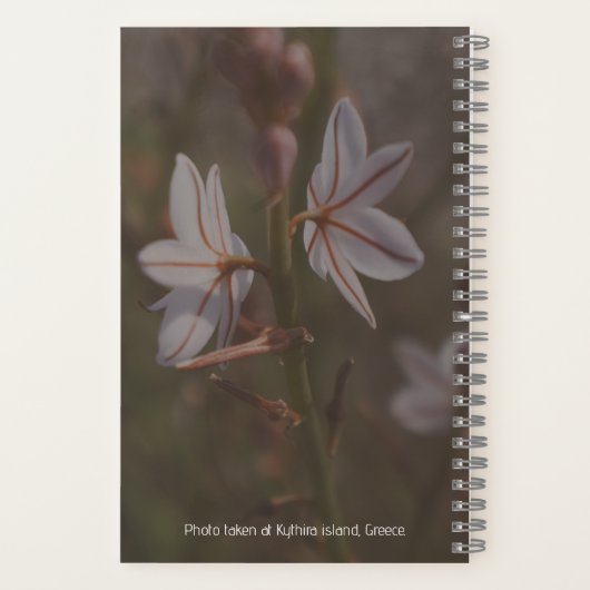 Twin Flower Spiral Notitieboek (Achterkant)