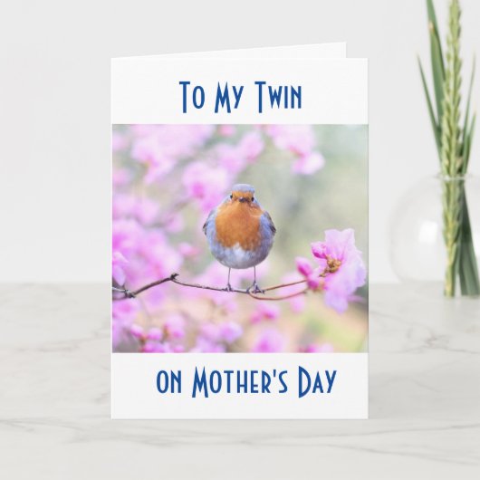 TWIN- GENIET VAN JE DAG "HET IS MOEDERDAG" KAART (Voorkant)