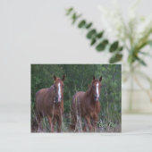 Twin Horses - Born Free Briefkaart (Staand voorkant)