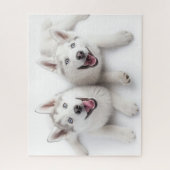 Twin Huskies Legpuzzel (Verticaal)