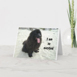 TWIN IK HOU DAVON DAT IK MIJN VERJAARDAG MET "JOU" KAART