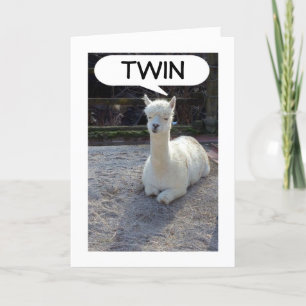 TWIN-LAMA VERTELT DAT NIEMAND EEN BETERE TWEELING  KAART
