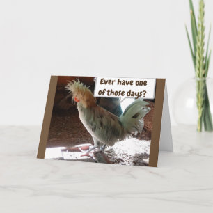 ***TWIN*** MET EEN BAD DAG OP DE "40e" TWEEDE DAG Kaart