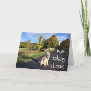 **TWIN** MET EEN BRAAK OM TE ZEGGEN "HAAPPY BIRTHD KAART